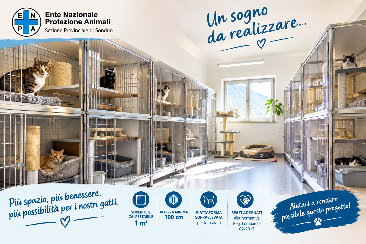 🐾 Aiutaci a adeguare il reparto degenza di Sondrio per continuare a salvare 400 gatti all'anno 🐾